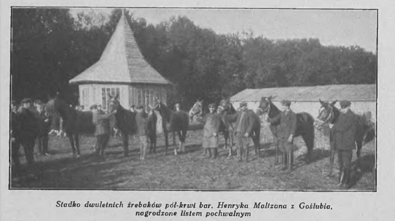 Z wystawy rolniczej w Leczycy Tygodnik Ilustrowany 1927 Nr 42. Zbiory Biblioteka Cyfrowa Uniwersytetu Lodzkiego. Domena publiczna 1