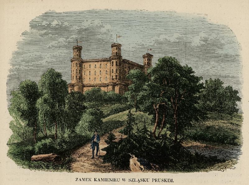 Zamek Kamieniec Szląsk Pruski artykuł 1859 Nr 4 F1 kol