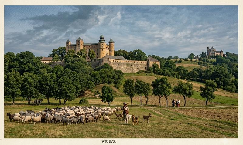Wiśnicz autor redakcja artykuł 1859 nr 8 F1 kol