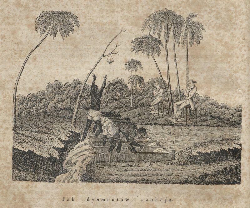 Jak dyamentów szukają ilustracja 1834
